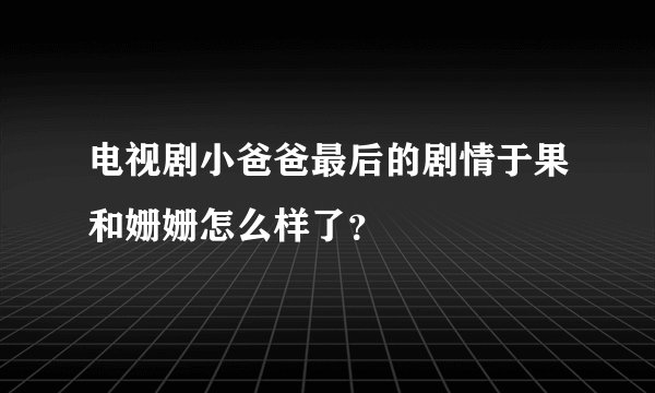 电视剧小爸爸最后的剧情于果和姗姗怎么样了？