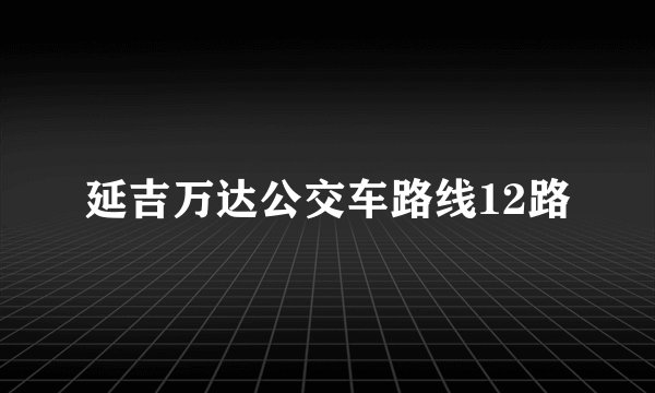延吉万达公交车路线12路