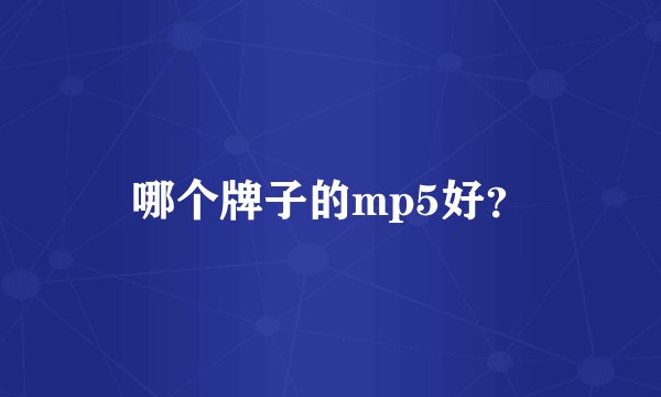 哪个牌子的mp5好？