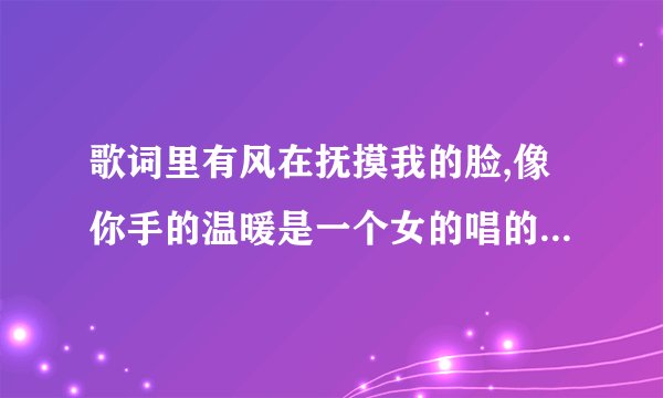 歌词里有风在抚摸我的脸,像你手的温暖是一个女的唱的,是什么歌
