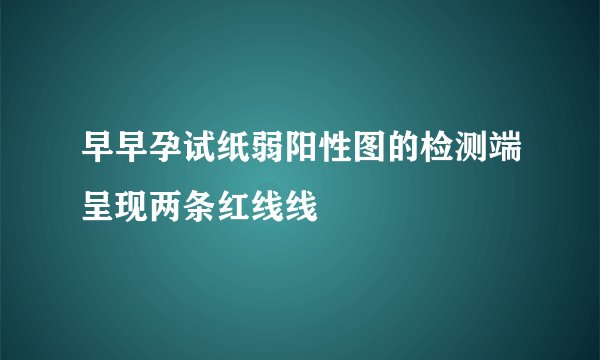 早早孕试纸弱阳性图的检测端呈现两条红线线