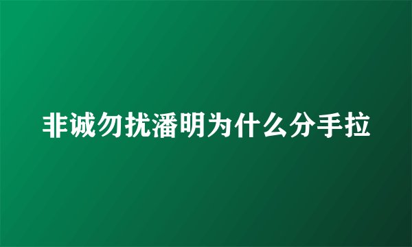非诚勿扰潘明为什么分手拉