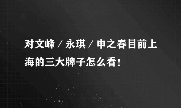 对文峰/永琪/申之春目前上海的三大牌子怎么看!