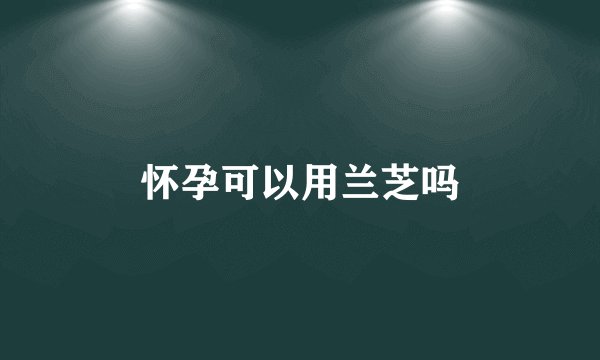 怀孕可以用兰芝吗