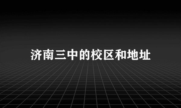 济南三中的校区和地址