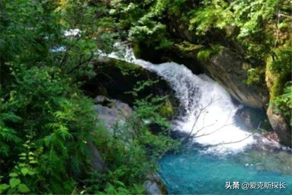 神农架旅游一定要去的8个景点?