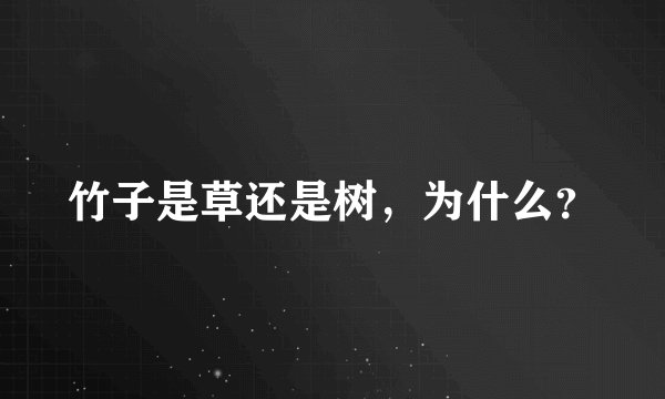 竹子是草还是树,为什么?