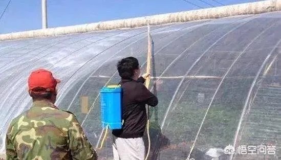 大棚降温剂往遮阳网上喷洒效果好吗?