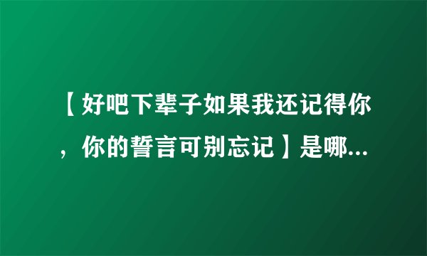 【好吧下辈子如果我还记得你，你的誓言可别忘记】是哪首歌的歌词？