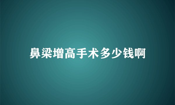 鼻梁增高手术多少钱啊