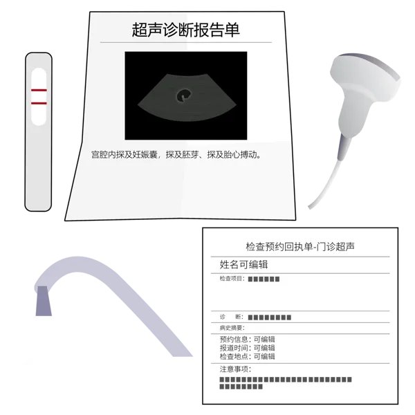 给宠物做b超多少钱一次