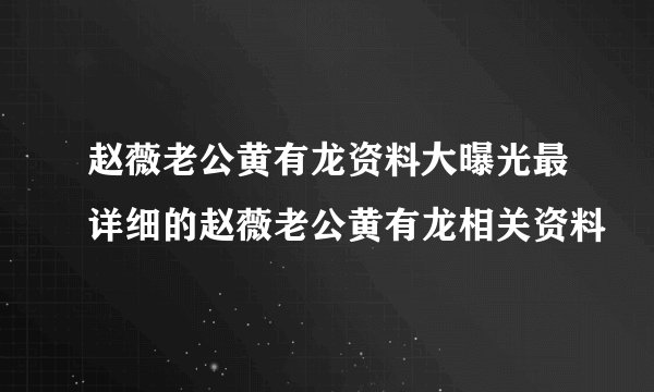 赵薇老公黄有龙资料大曝光最详细的赵薇老公黄有龙相关资料