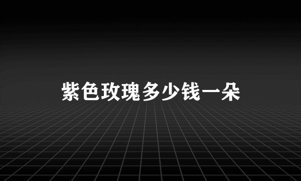 紫色玫瑰多少钱一朵