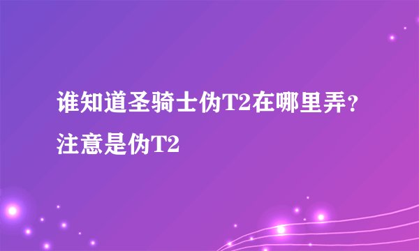 谁知道圣骑士伪T2在哪里弄？注意是伪T2