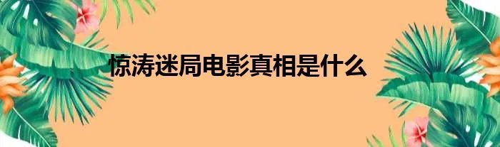 惊涛迷局电影真相是什么