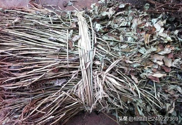 花生秧粉怎么喂鸭好?
