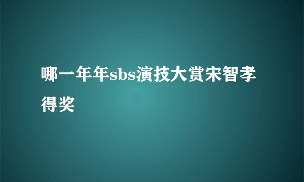 哪一年年sbs演技大赏宋智孝得奖