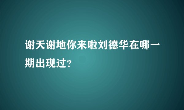 谢天谢地你来啦刘德华在哪一期出现过？
