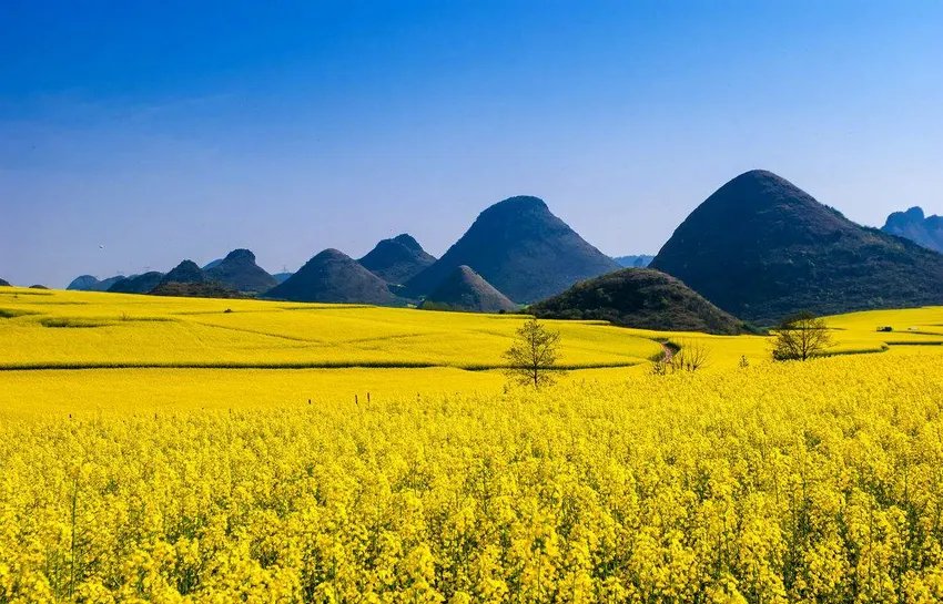 2020春节好玩又不贵的城市 中国春节文化之乡上榜