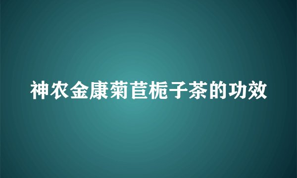 神农金康菊苣栀子茶的功效