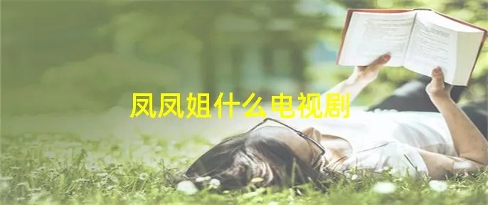 凤凤姐什么电视剧