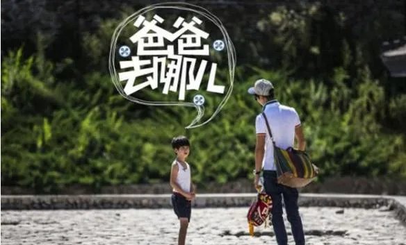 张亮的儿子天天如今长的怎样了?