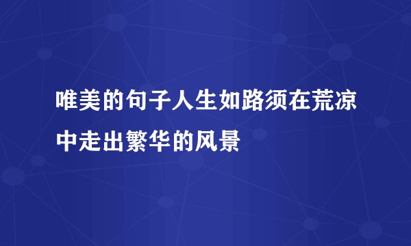 唯美的句子人生如路须在荒凉中走出繁华的风景