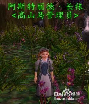 魔兽世界狼人的坐骑在哪买?