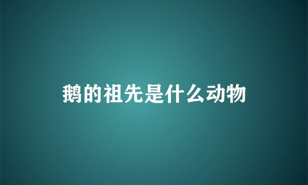 鹅的祖先是什么动物