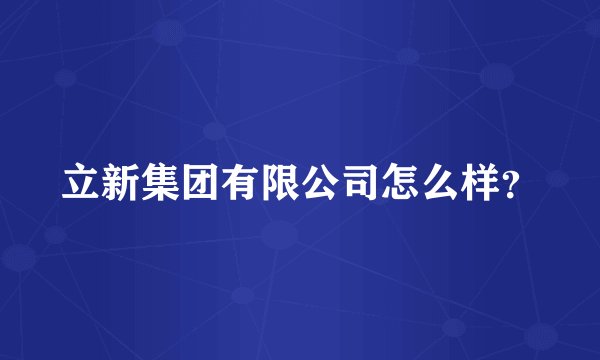 立新集团有限公司怎么样？