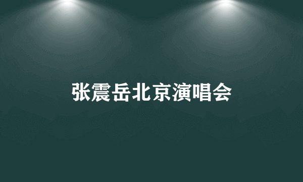 张震岳北京演唱会