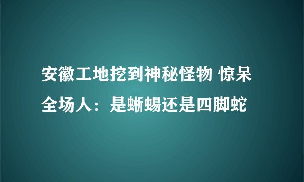 安徽工地挖到神秘怪物 惊呆全场人：是蜥蜴还是四脚蛇