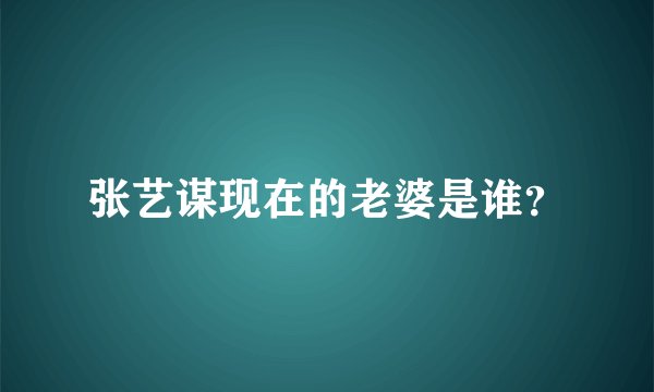 张艺谋现在的老婆是谁？