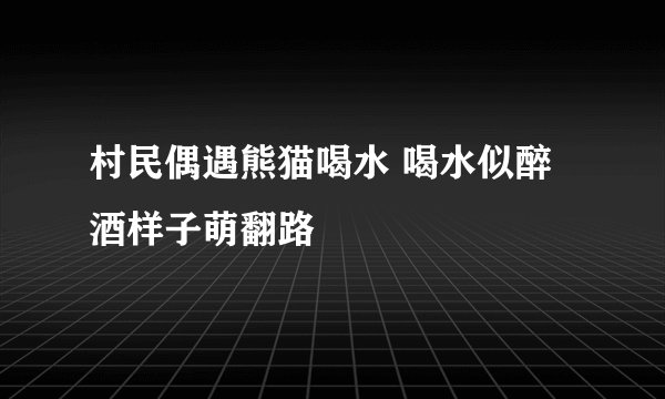 村民偶遇熊猫喝水 喝水似醉酒样子萌翻路