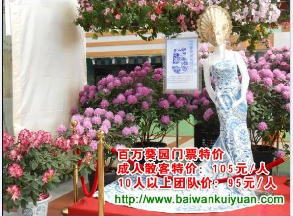 百万葵园什么时候去最好?