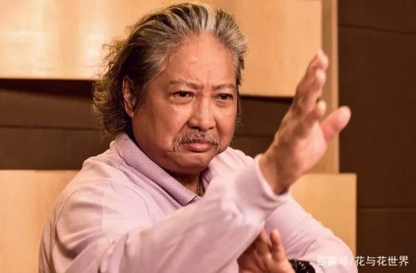 因看不上洪金宝儿子让徐子淇嫁给李家诚,但洪家才是深藏不漏,你怎么看?
