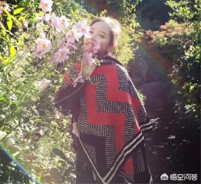 刘怡君是谁？
