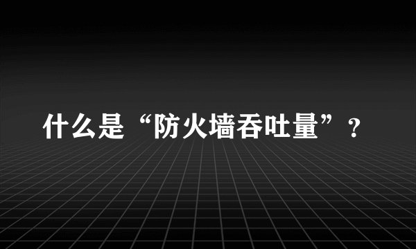 什么是“防火墙吞吐量”？