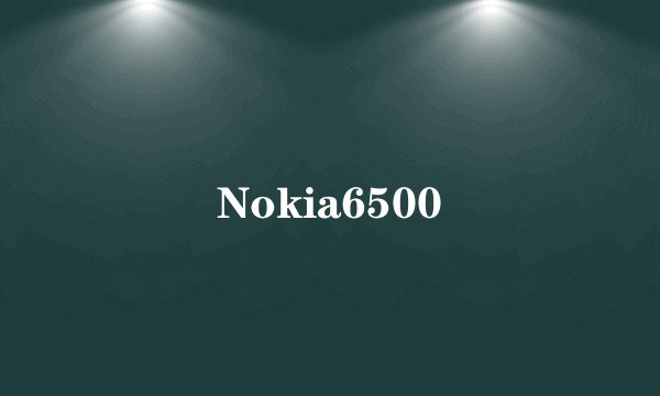 Nokia6500