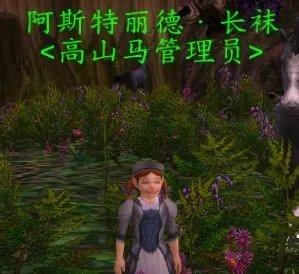 魔兽世界狼人种族坐骑在哪买