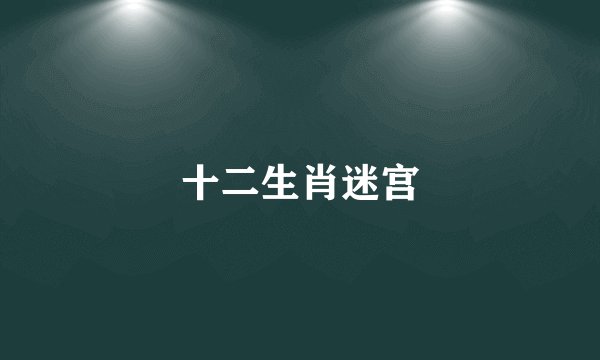 十二生肖迷宫