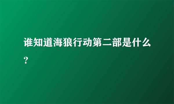 谁知道海狼行动第二部是什么？