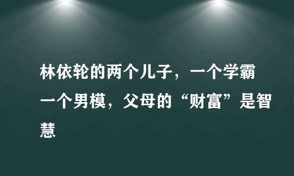 林依轮的两个儿子,一个学霸一个男模,父母的“财富”是智慧