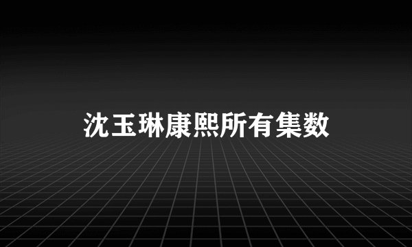 沈玉琳康熙所有集数