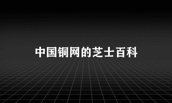 中国铜网的芝士百科