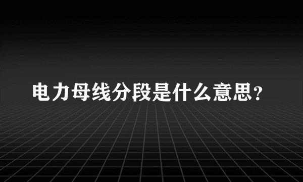 电力母线分段是什么意思?
