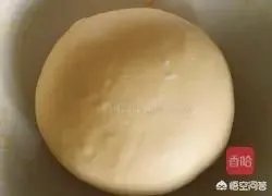 外面有一层薄皮、里面有夹心,然后两边还有肉松的一种面包,是什么面包呢?怎么做比较好吃,特别想吃?