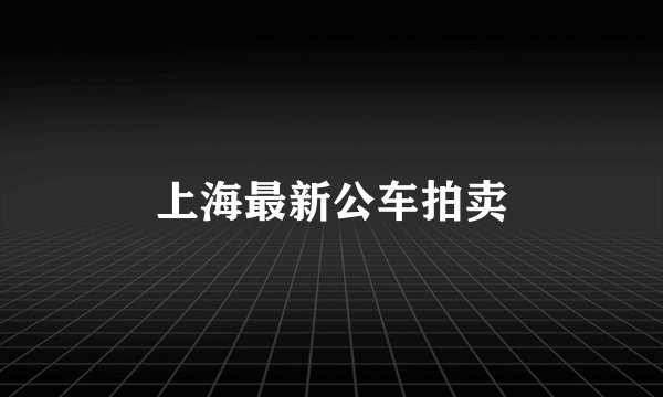 上海最新公车拍卖
