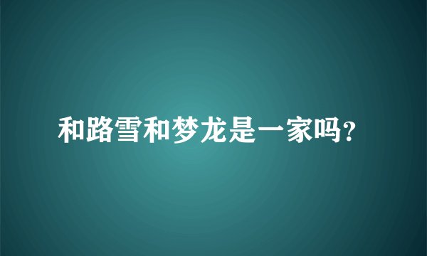 和路雪和梦龙是一家吗？