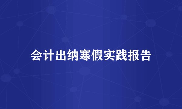 会计出纳寒假实践报告
